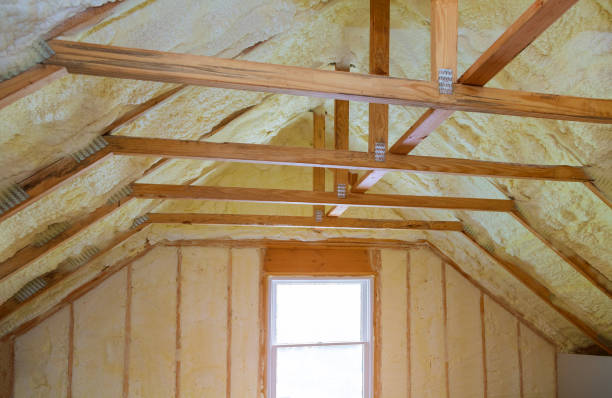Best Eco-Friendly Insulation in Dixon Lane Meadow Creek, CA
