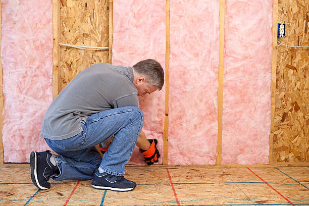 Best Insulation Maintenance and Repair in Dixon Lane Meadow Creek, CA
