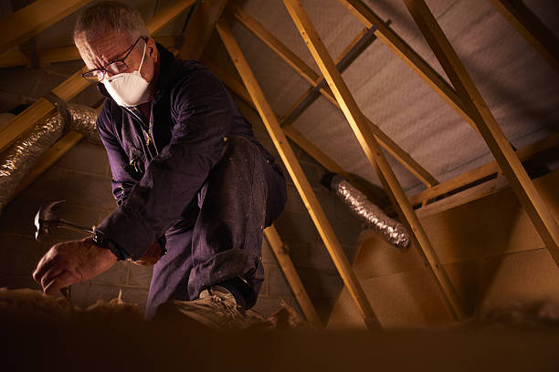 Best Commercial Insulation in Dixon Lane Meadow Creek, CA