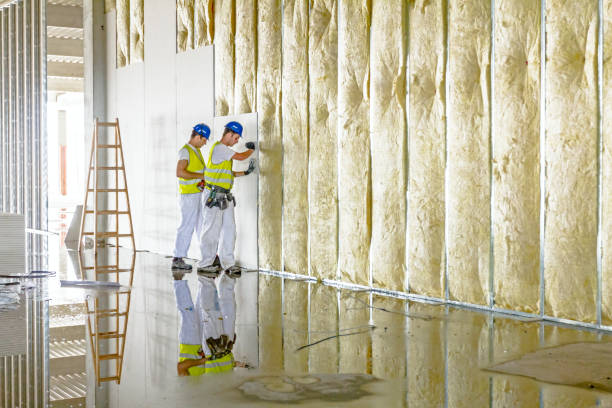Best Fiberglass Insulation in Dixon Lane Meadow Creek, CA